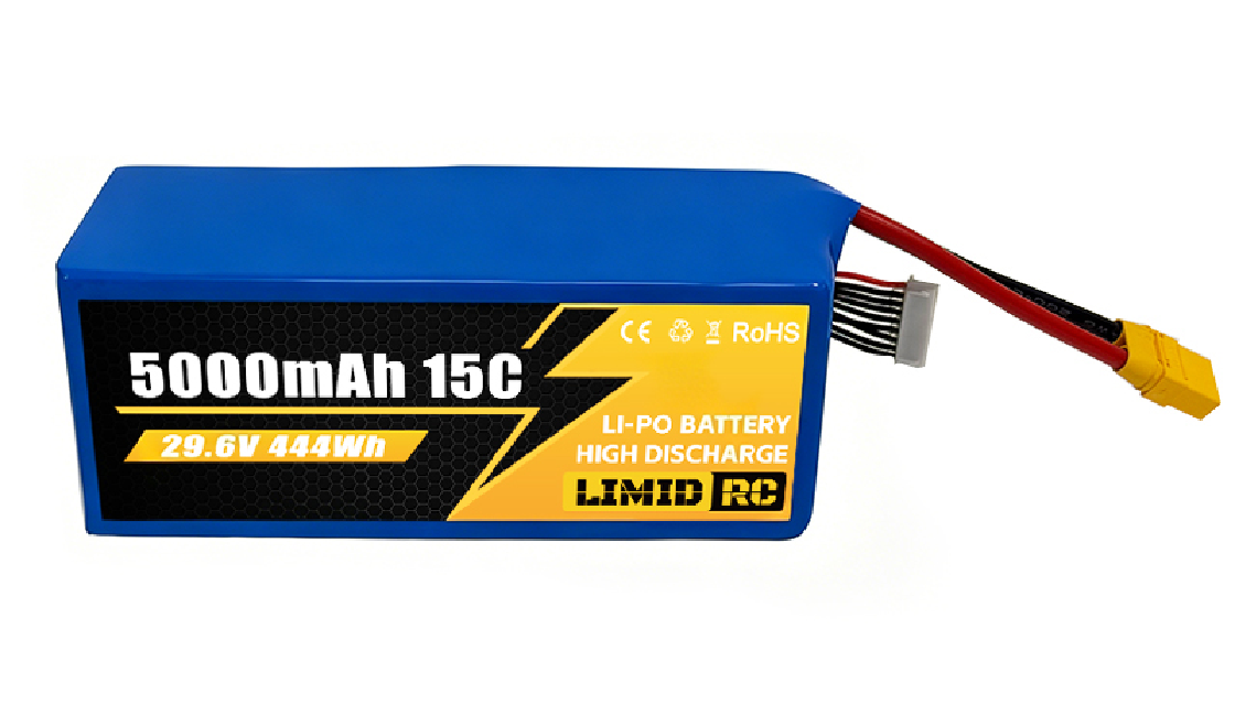 Lithium battery / smart factory